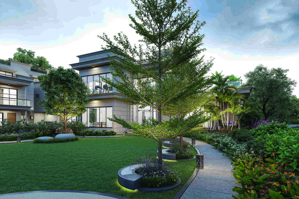  vedant prasum Landscape Garden and Tree Planting