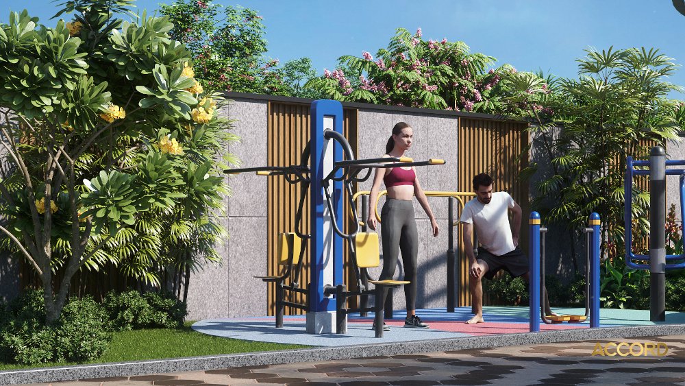 aurum alumni accord Open Gym