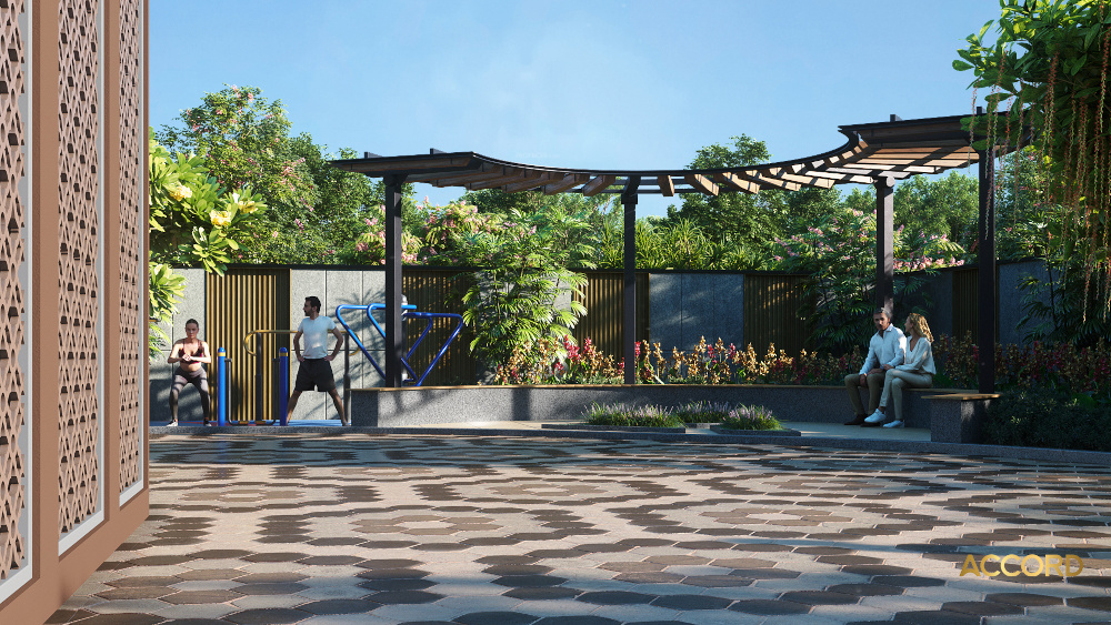 aurum alumni accord Open Gym