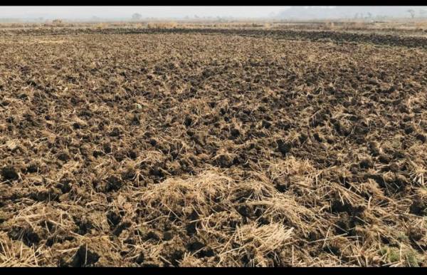  ranjanpada-lands Plot