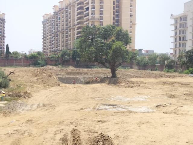  dynasty Construction Status May 25