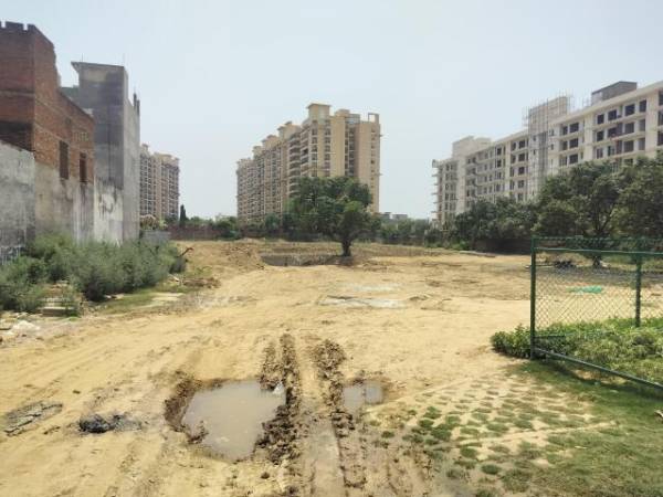  dynasty Construction Status May-25