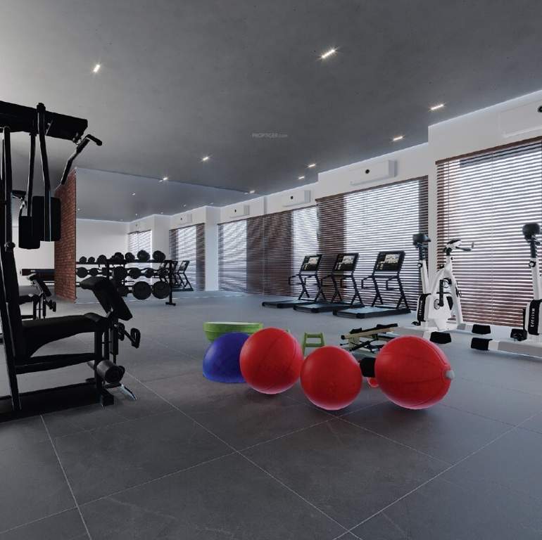  snehal exotica Gymnasium