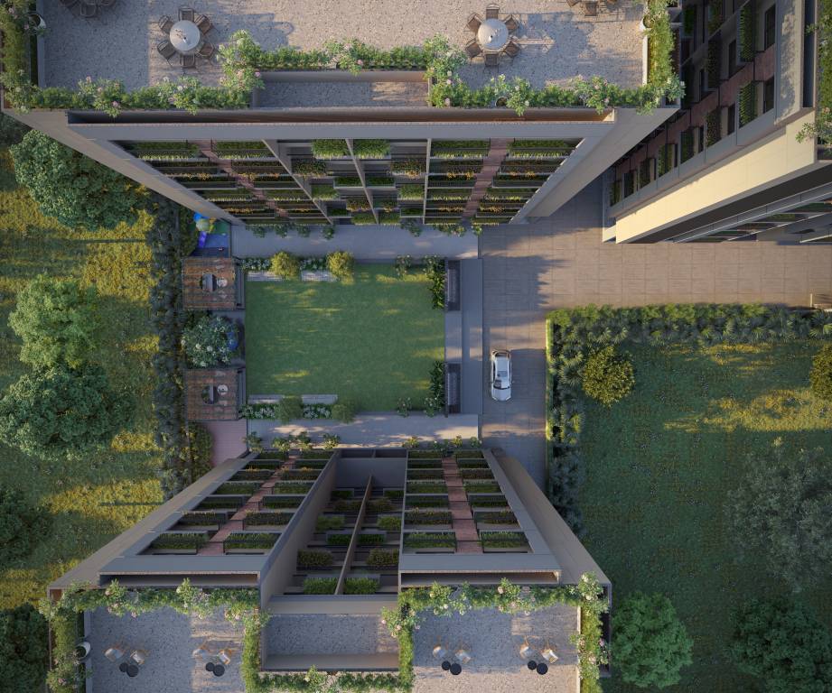  arcus aura Elevation