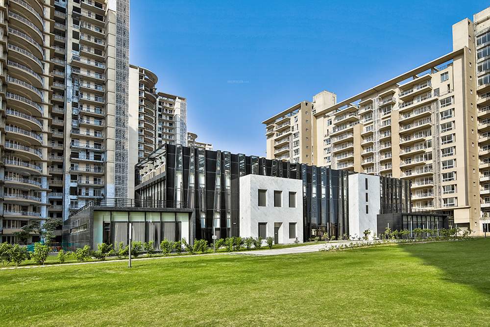  enigma phase 2 Landscape Garden and Tree Planting