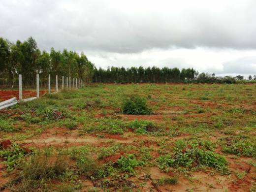 parktown Elevation Elevation