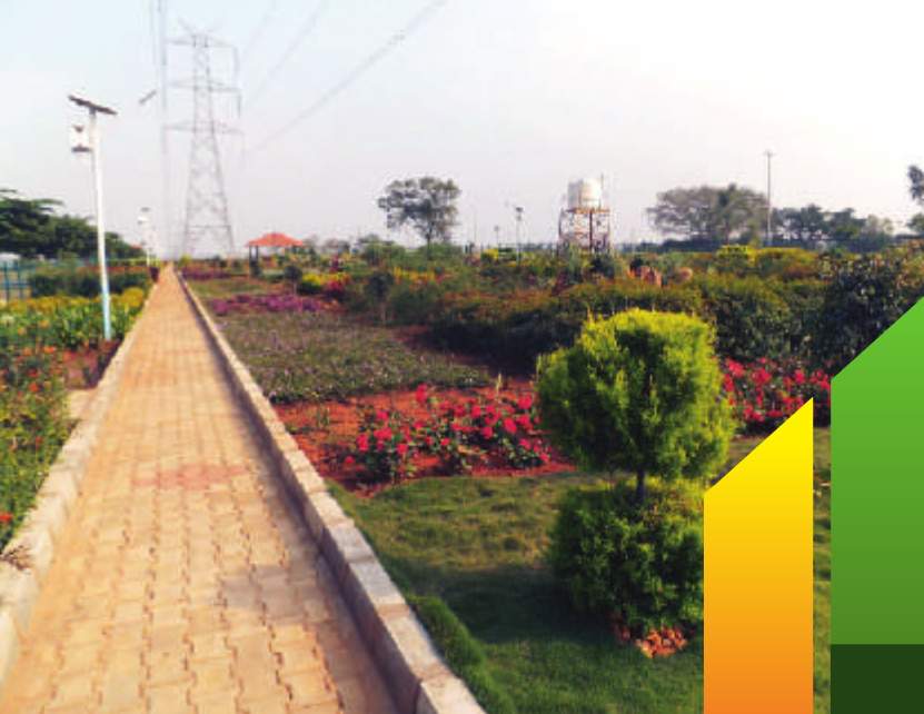  silver kites elite Flower Garden