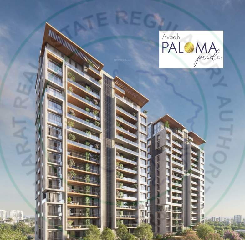  paloma pride Elevation