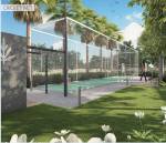  silver-oak Cricket Pitch