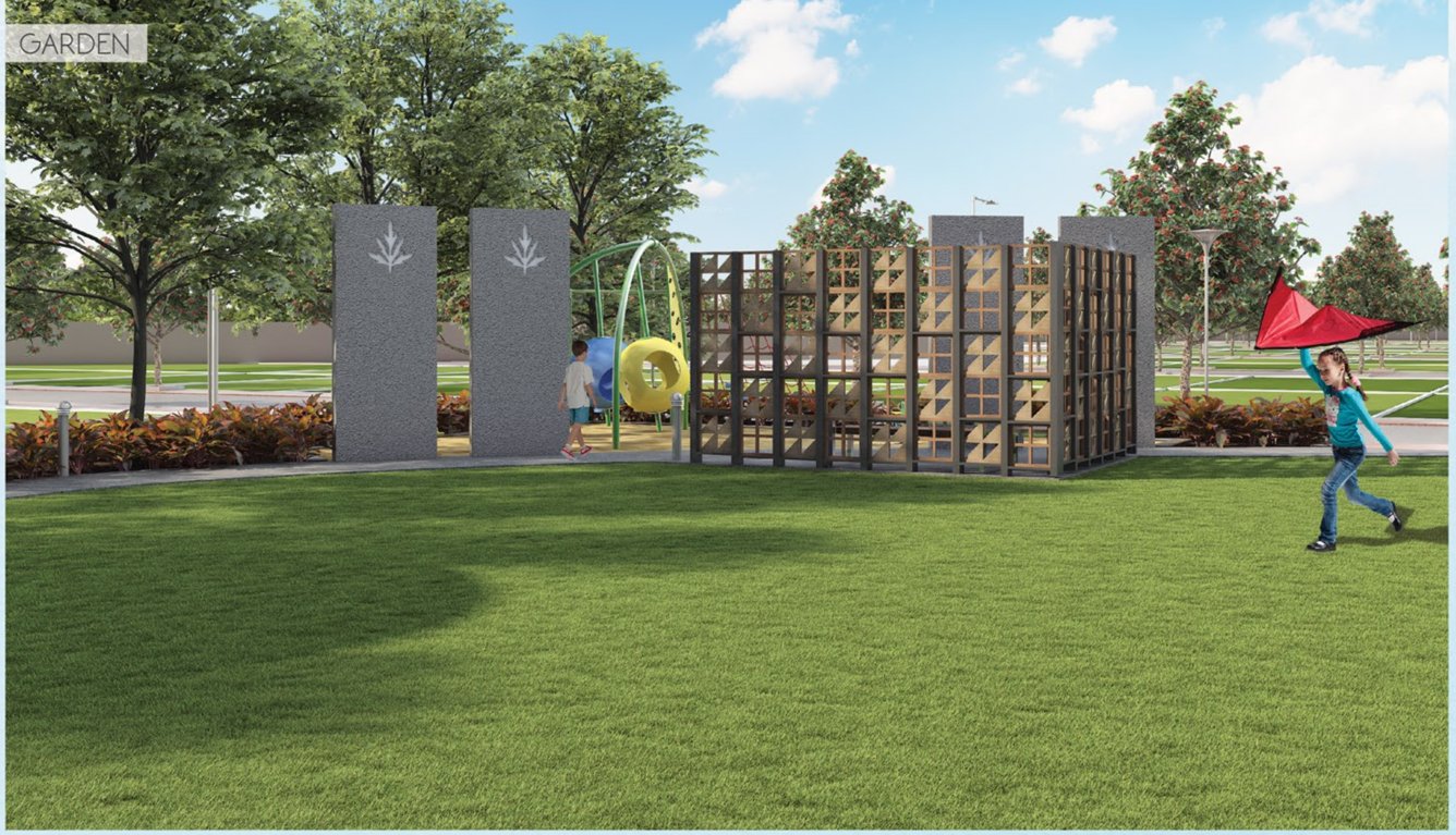 silver oak Landscape Garden and Tree Planting