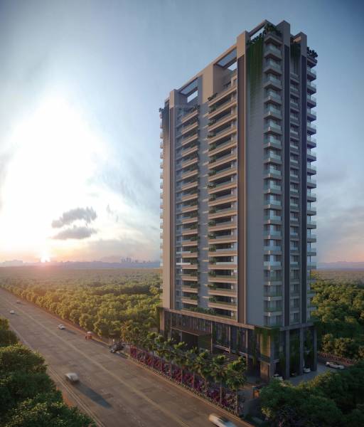 Elevation the-vibe Elevation