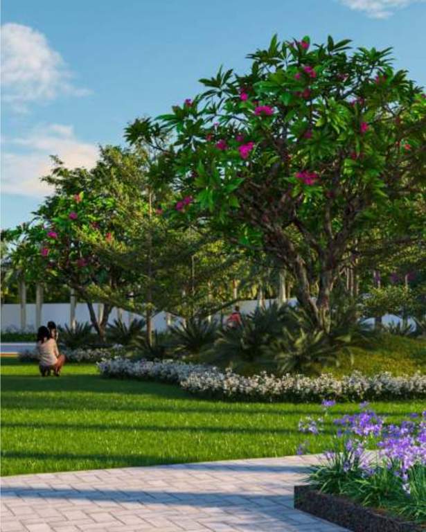  eden villas Landscape Garden and Tree Planting