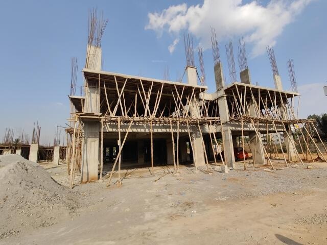 Infinity Green Woods