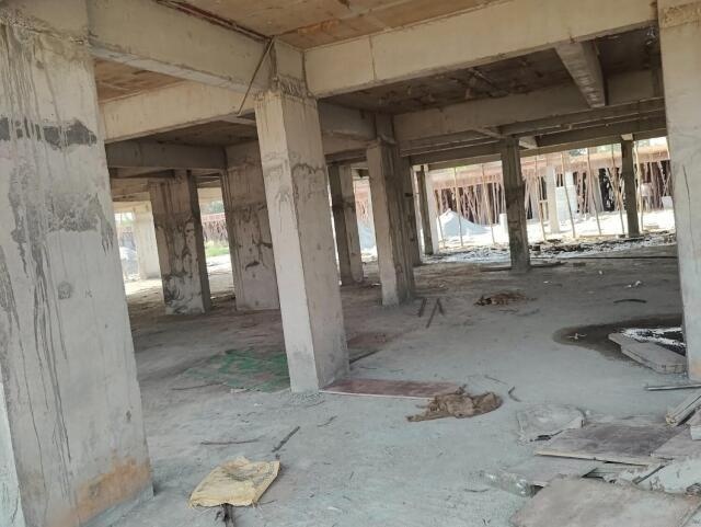 Infinity Green Woods