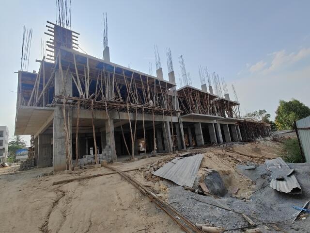 Infinity Green Woods