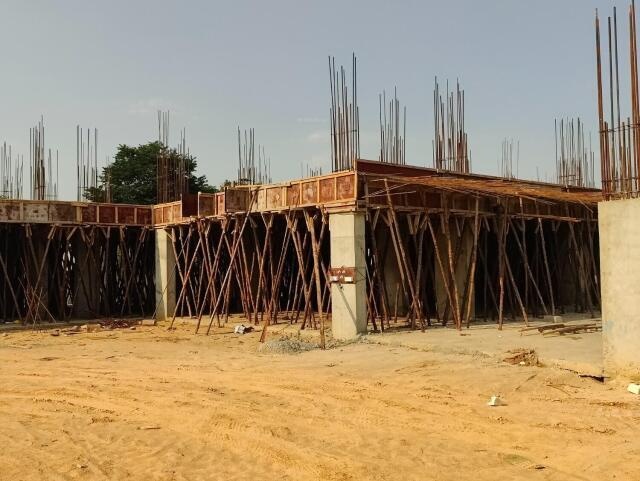 Infinity Green Woods