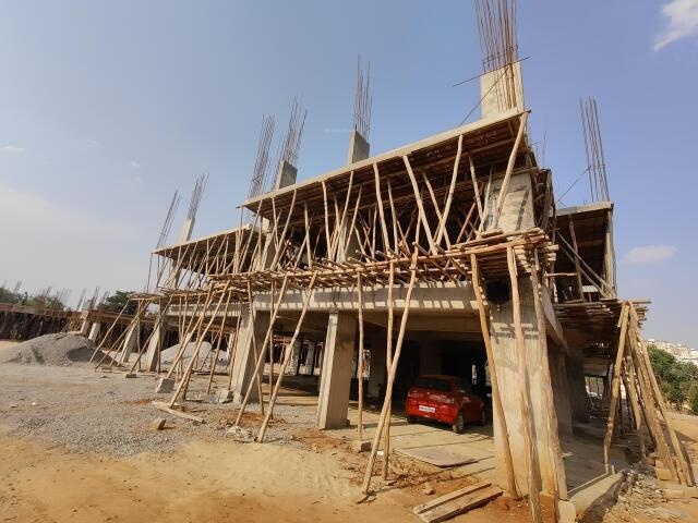 Infinity Green Woods