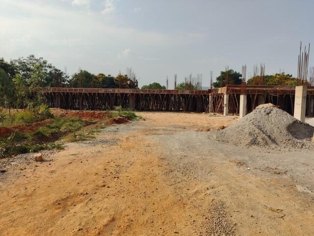 Infinity Green Woods