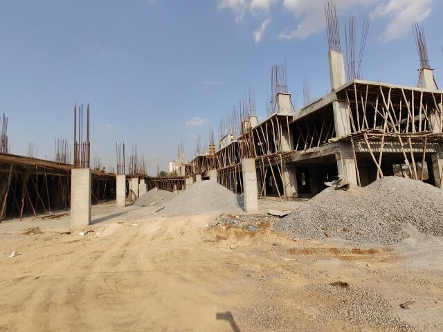 Infinity Green Woods