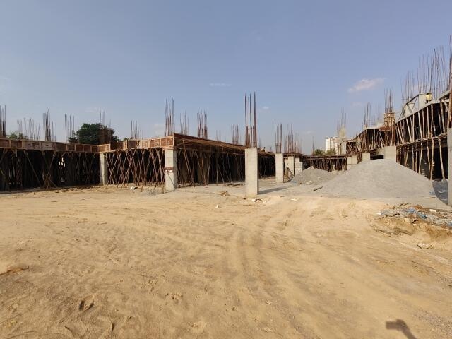 Infinity Green Woods