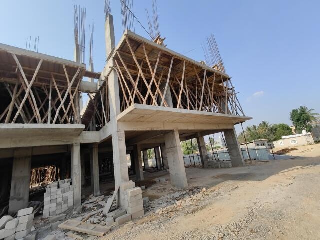 Infinity Green Woods