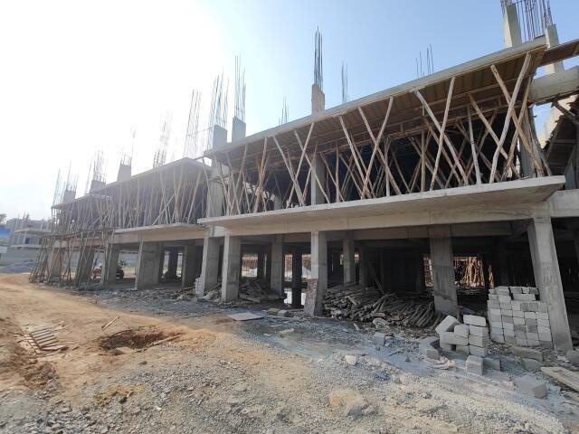 Infinity Green Woods