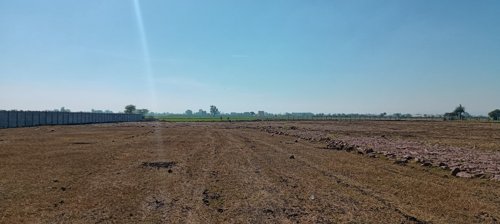  lotus-farms-and-nursery Elevation