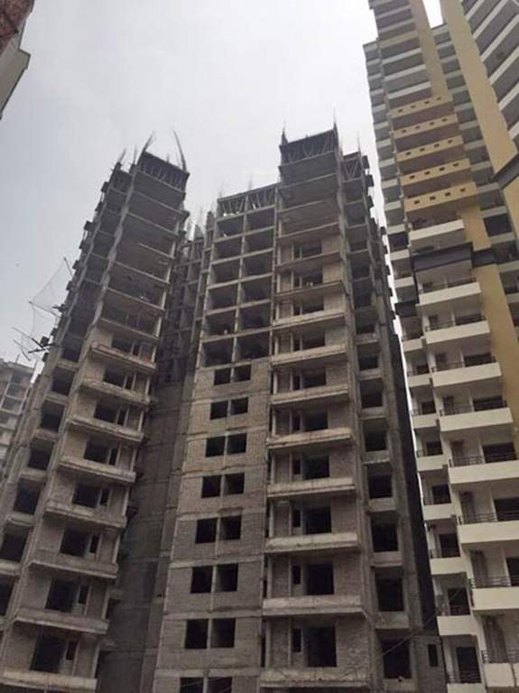  flora Construction Status Jan 25