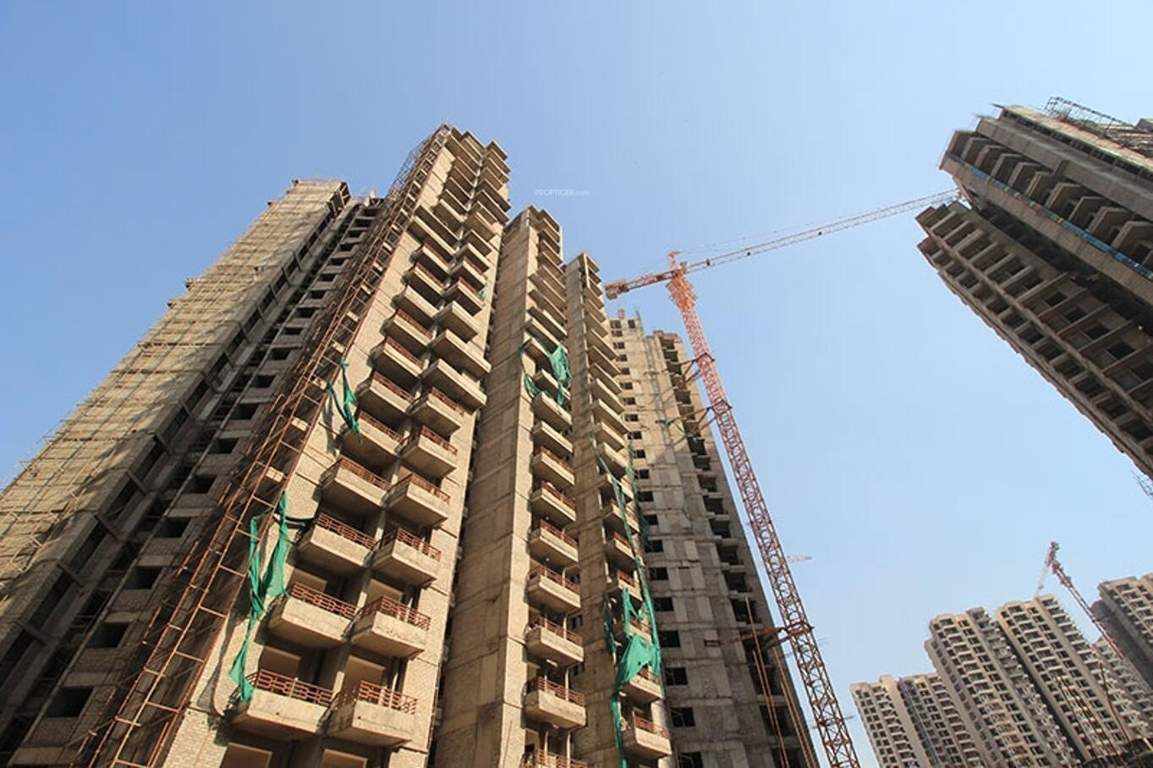  flora Construction Status Jan 25