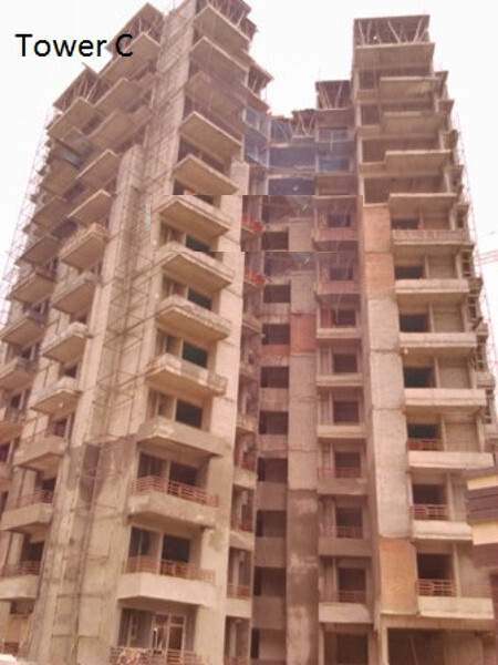  flora Construction Status Jan 25