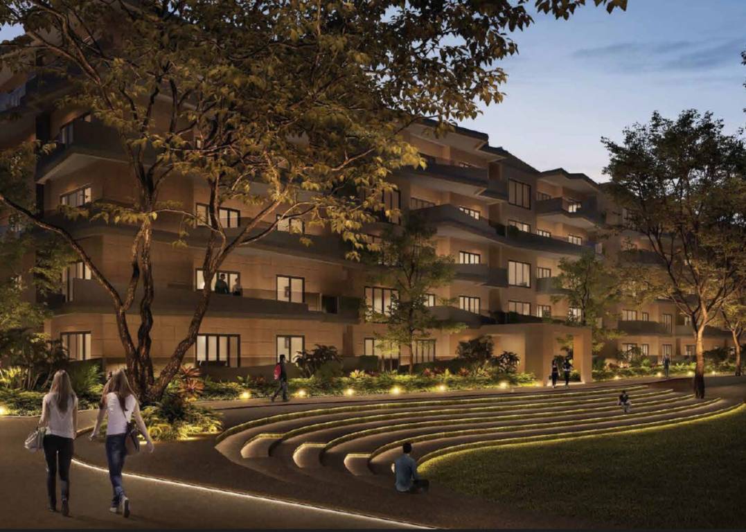  wild woods Amphitheater