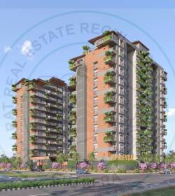  the-presidential Elevation