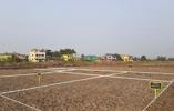 Samrajya Reality Pen