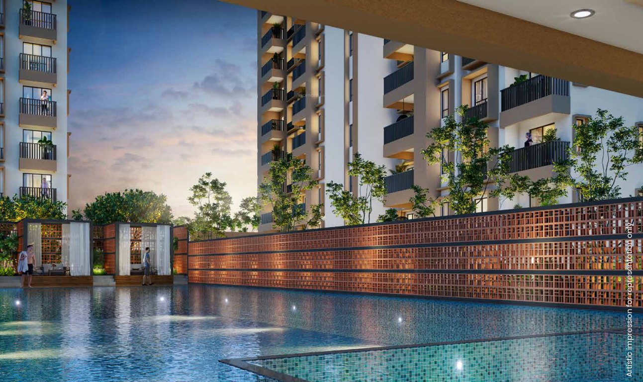  ivylush tower c and tower d Swimming Pool