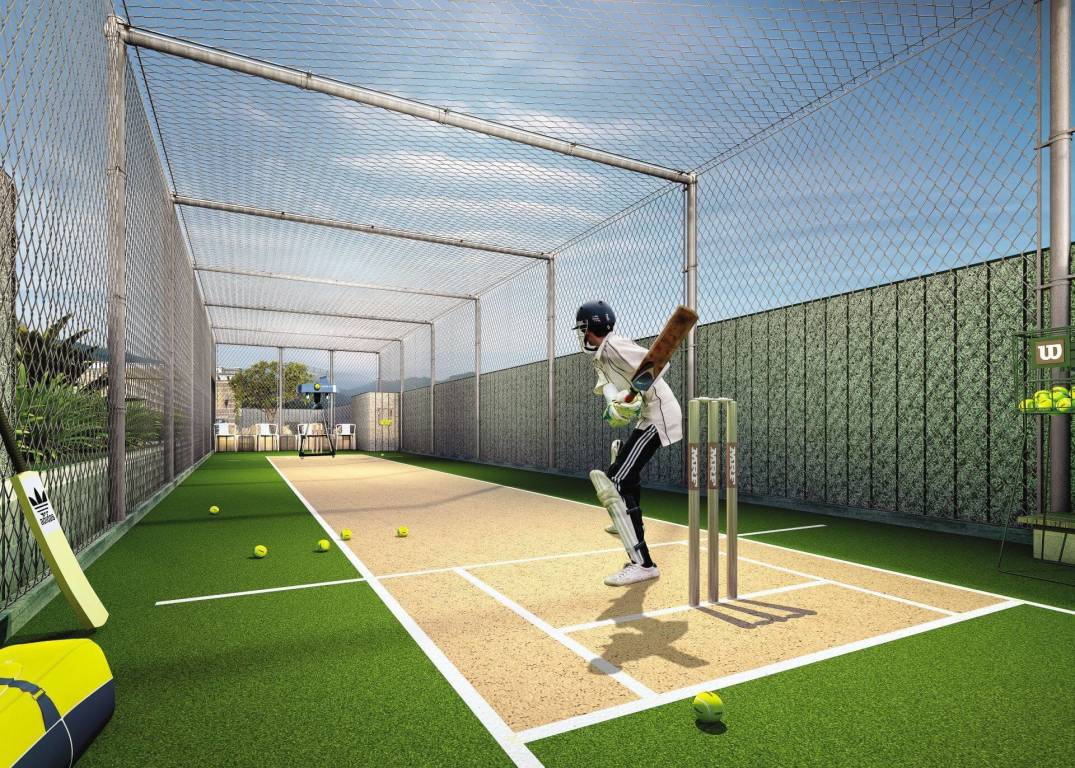  evania Cricket Pitch