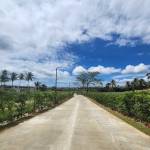  gardenia Internal Roads & Footpaths