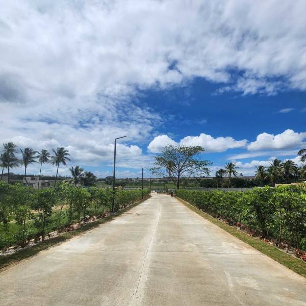 Internal Roads & Footpaths gardenia Internal Roads & Footpaths