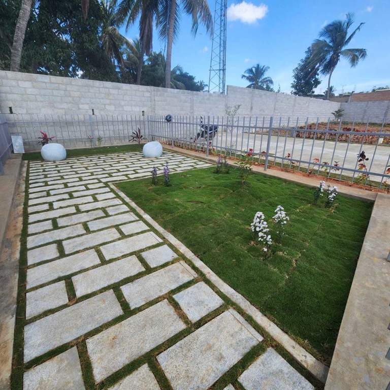  gardenia Landscape Garden and Tree Planting