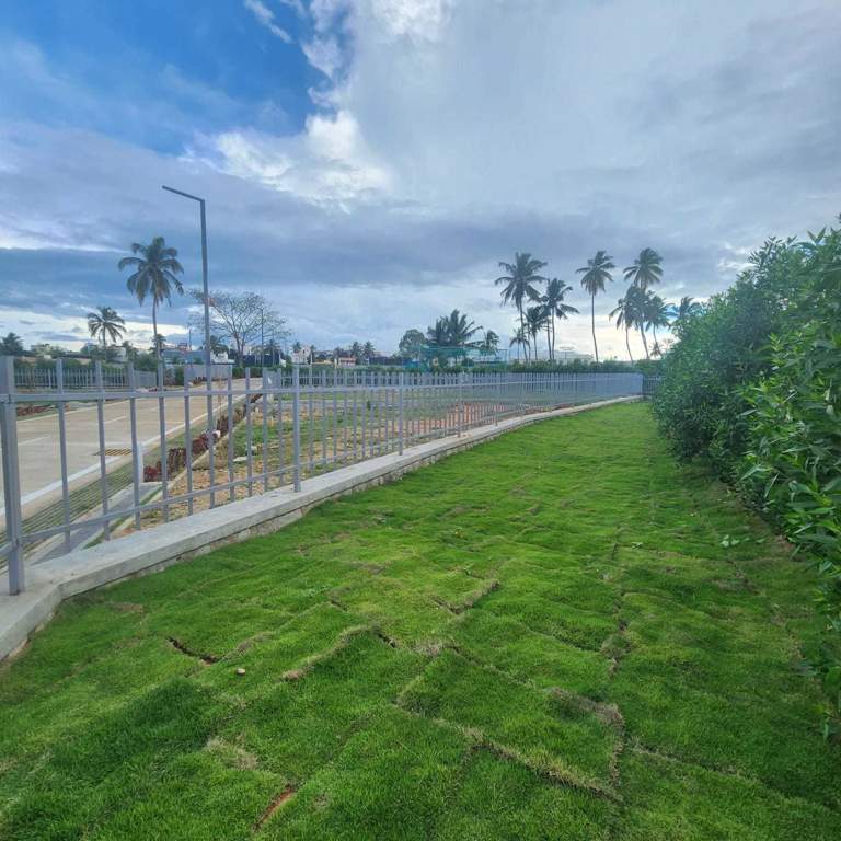  gardenia Landscape Garden and Tree Planting