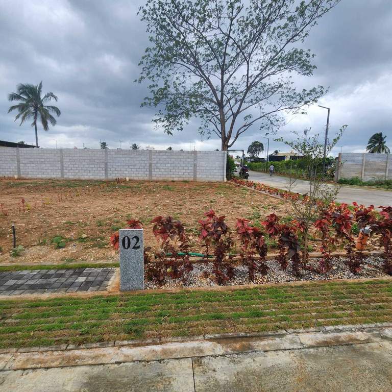  gardenia Landscape Garden and Tree Planting