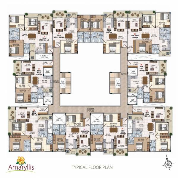 amaryllis Amaryllis Cluster Plan