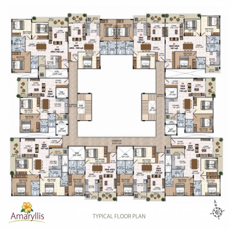 amaryllis Amaryllis Cluster Plan