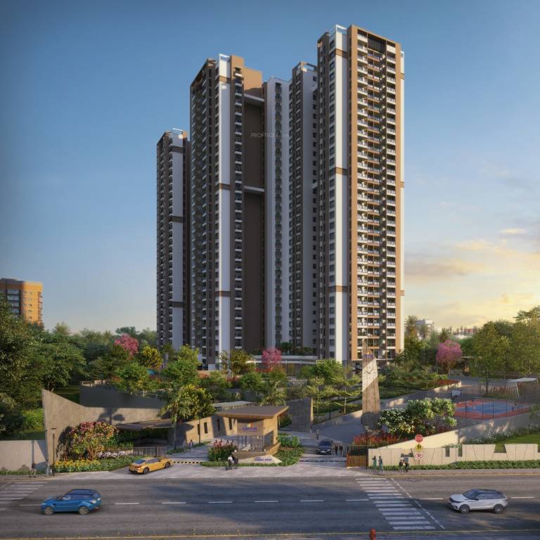 forest ridge Elevation