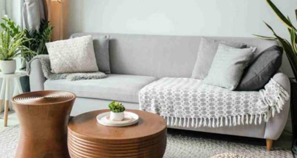  shyam enclave Living Area