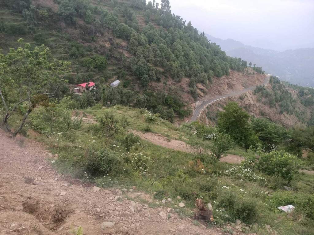 plot in mukteshwar Plot