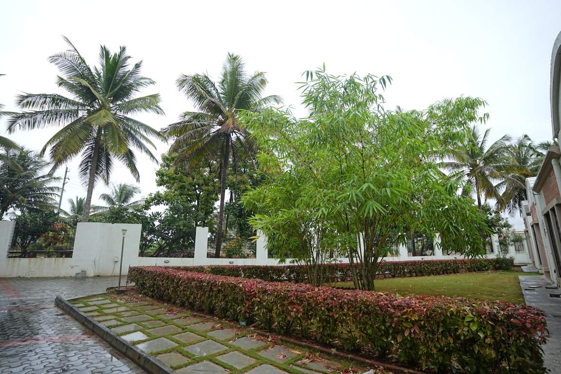  sharadindu stage v Landscape Garden and Tree Planting