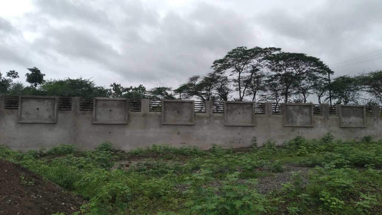 dham Plot