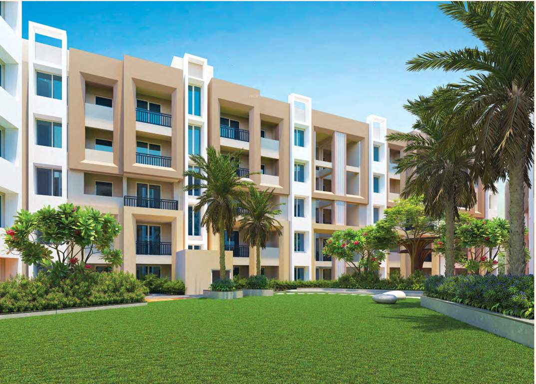  ashray vihar phase ii Landscape Garden and Tree Planting