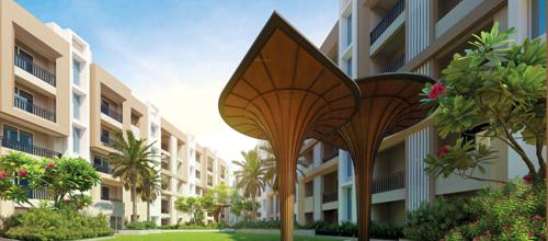  ashray-vihar-phase-ii Landscape Garden and Tree Planting