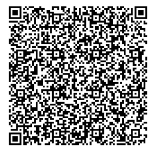 QR Image